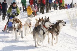 Lenk 2012 SM